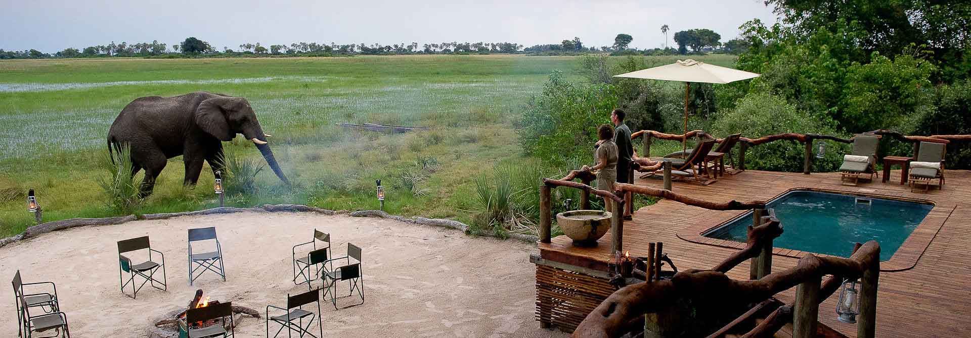 Tubu Tree Camp - Okavango Botswana