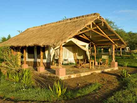 Ikoma Tented Camp - Serengeti Tanzania