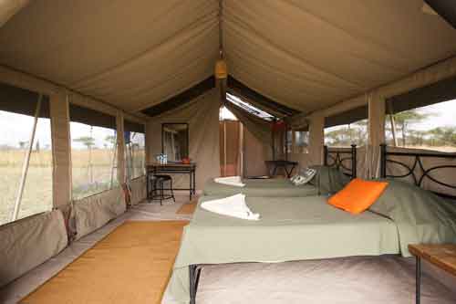 Kati Kati Camp - Serengeti Tanzania