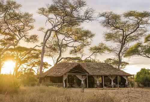 Kuro Tarangire - Tanzania