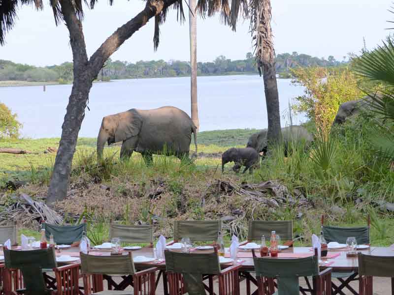 Lake Manze Camp - Selous Tanzania