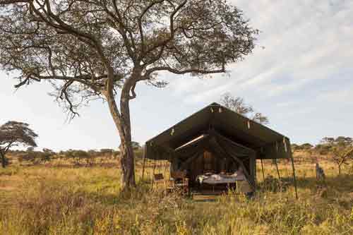 Serengeti Safari Camp - Tanzania