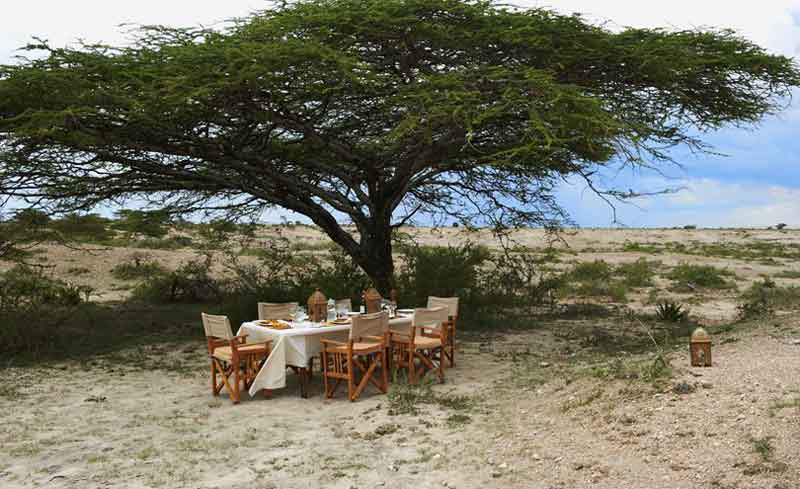 Ubuntu Migration Camp - Serengeti Tanzania