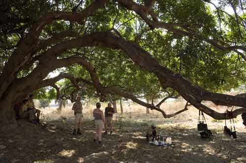 Wandelsafari Robin Pope Safaris - South Luangwa Zambia