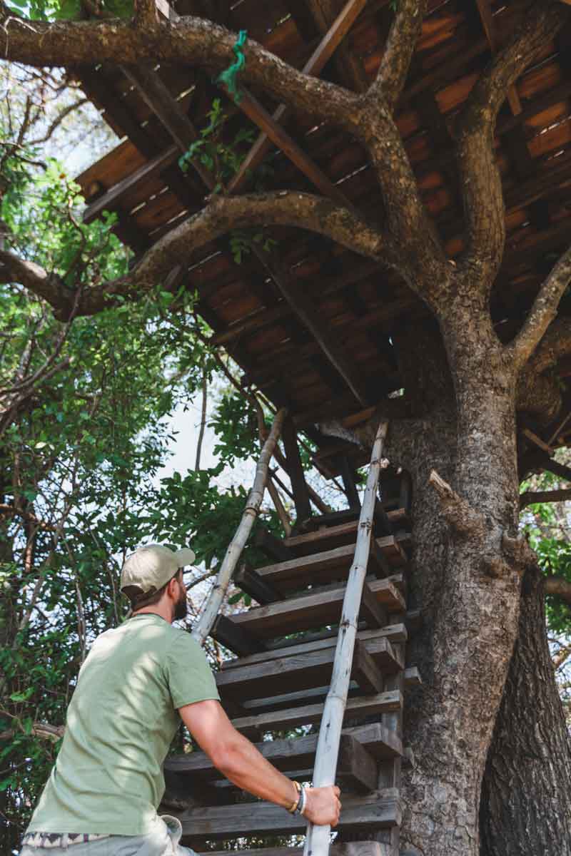 Musekese Camp - Kafue Zambia