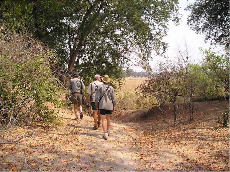 wandelsafari - South Luangwa Zambia