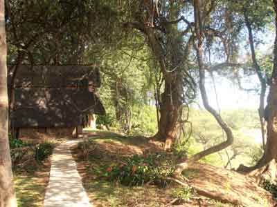 Mokore Camp - Save Valley Zimbabwe