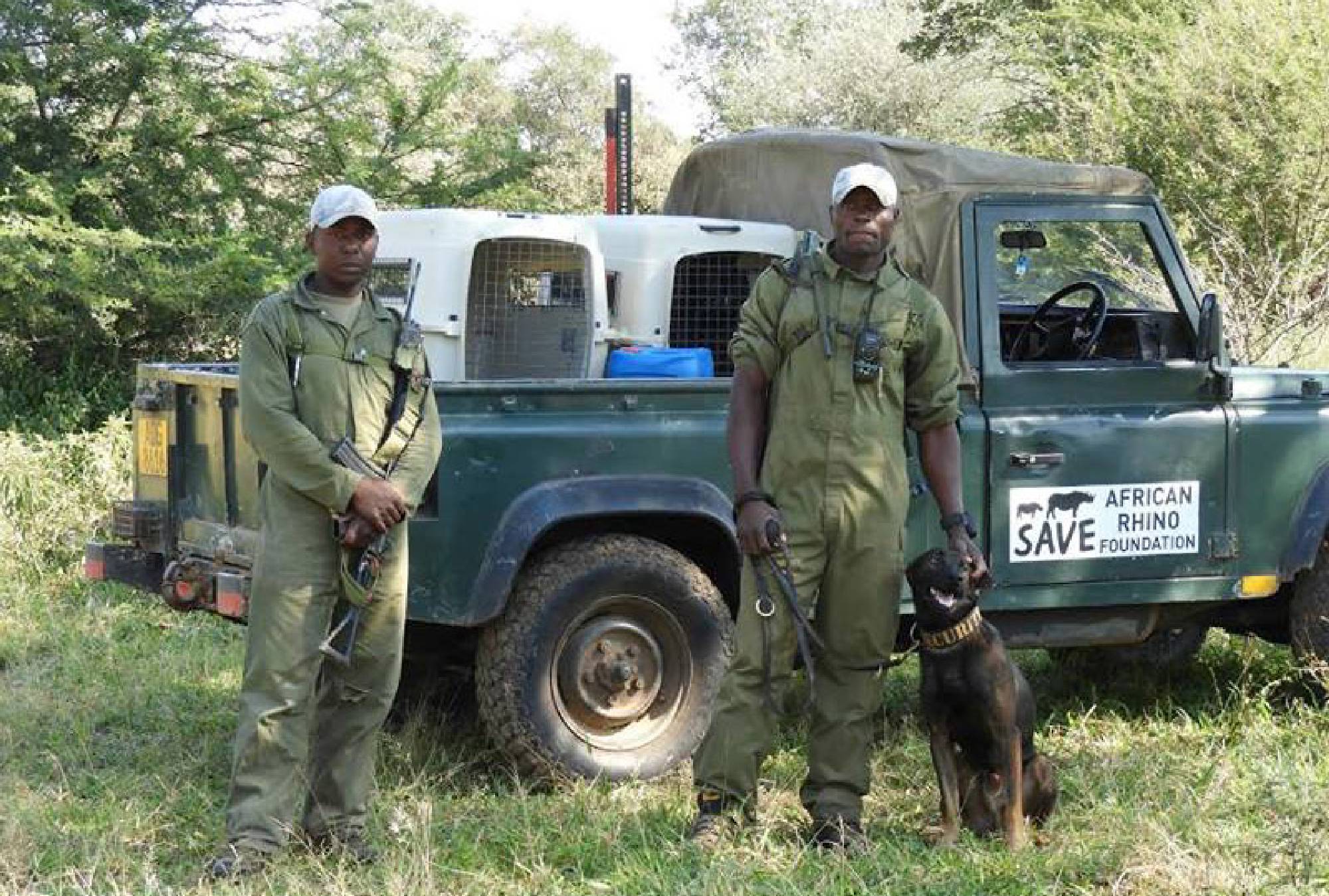 Mokore Camp - Save Valley Zimbabwe