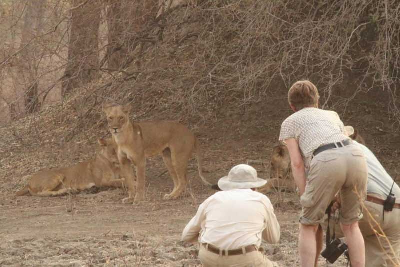 Vundu Camp - Mana Pools Zimbabwe