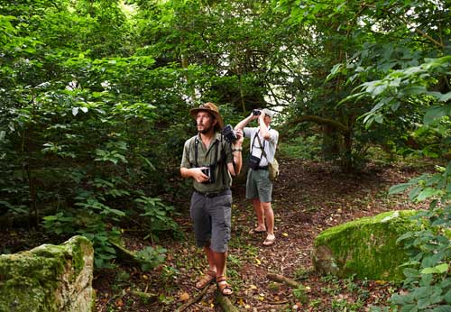 Saadani safari Tanzania