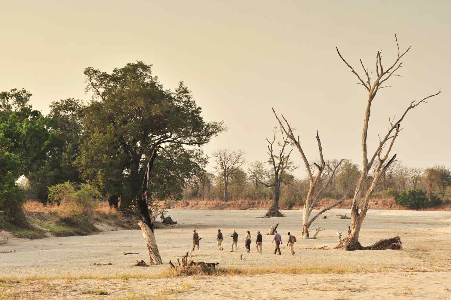 South Luangwa Norman Carr Safaris