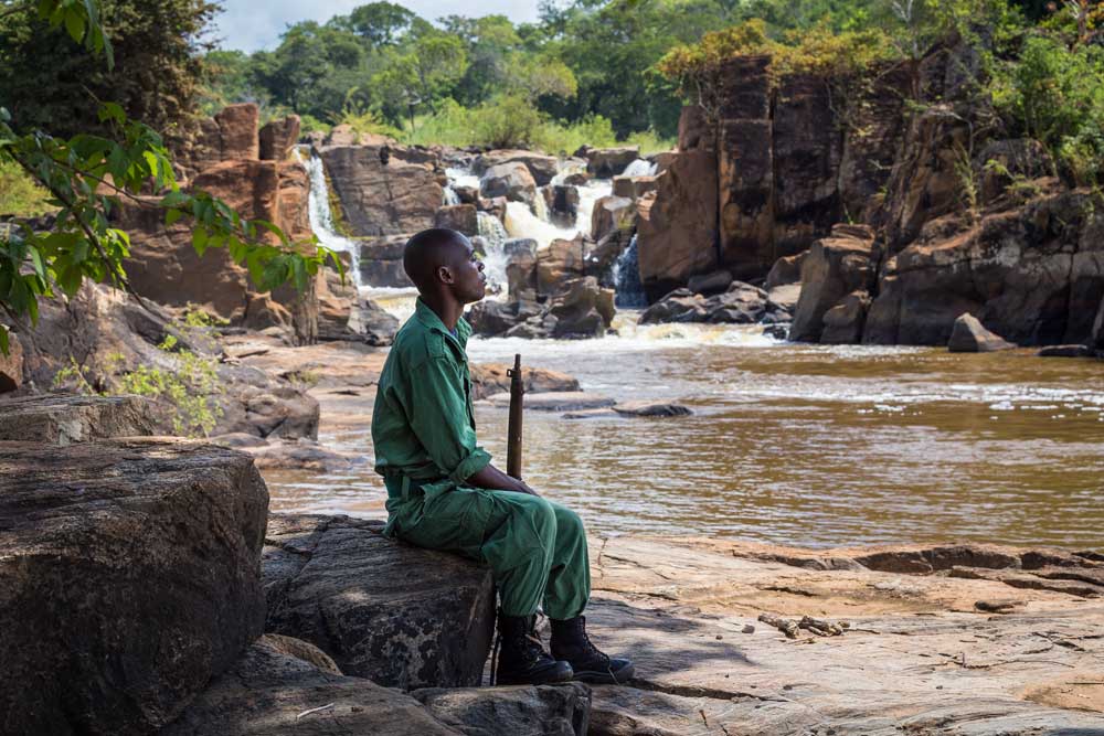 Nkhotakota Game Reserve Malawi