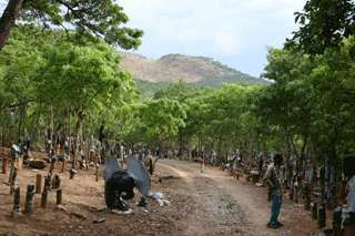 Tengenenge Art Village Tengenenge Art Village - beeldhouw workshop Zimbabwe