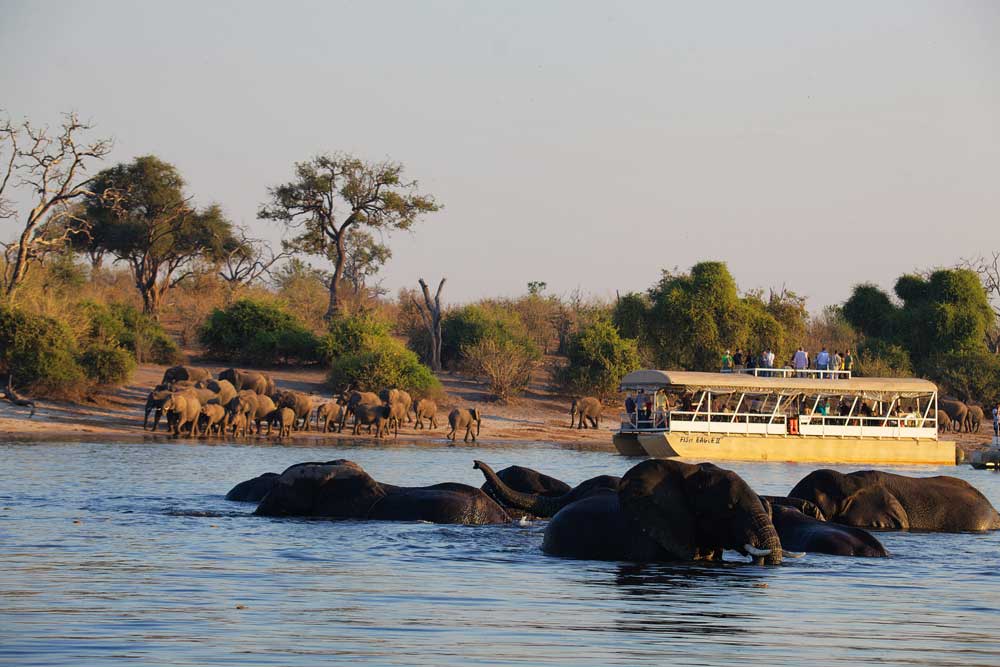 Chobe National Park Botswana