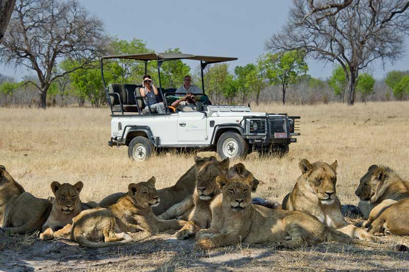 Zimbabwe Hwange National Park