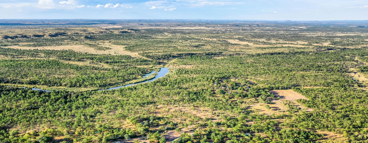 safari Hwange - Zimbabwe