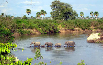 Selous safari Tanzania